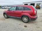 2009 HONDA CR-V