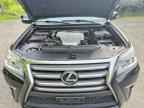 2019 LEXUS GX 460