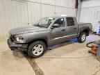 2010 DODGE Dakota
