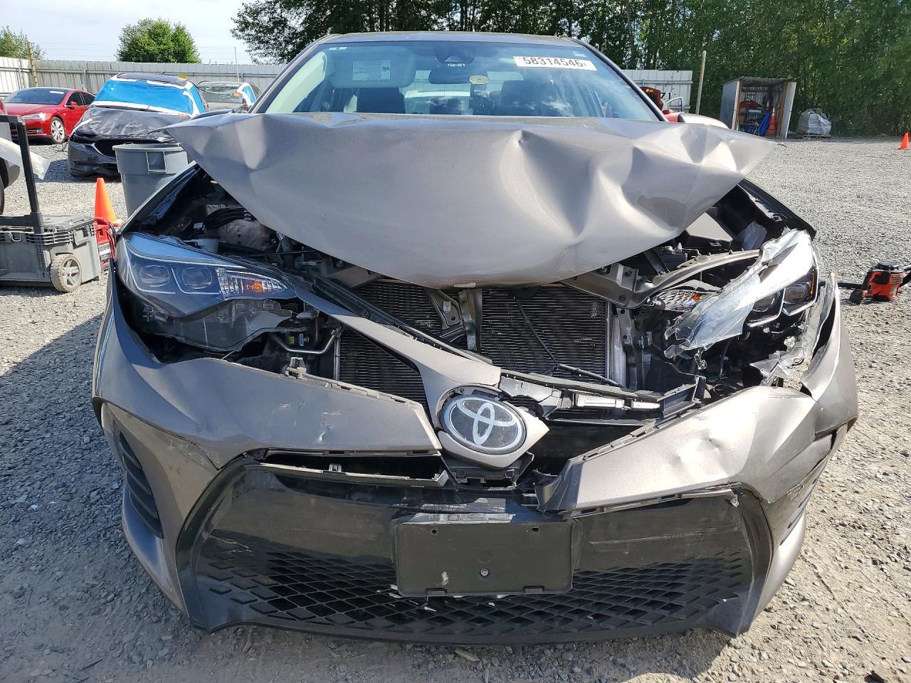 2019 TOYOTA COROLLA