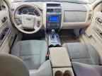 2010 FORD ESCAPE