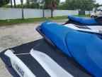 2023 Yam Vx