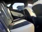 2024 LEXUS NX 250