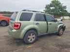2008 FORD ESCAPE