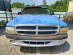 1999 DODGE Dakota