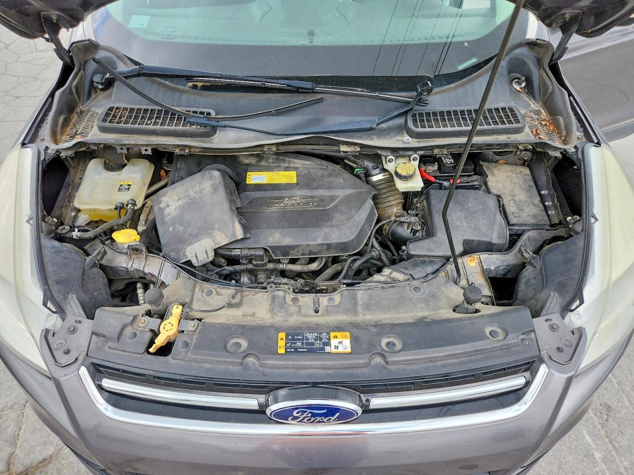 2013 FORD ESCAPE