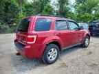 2008 FORD ESCAPE