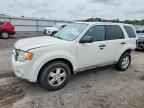 2009 FORD ESCAPE