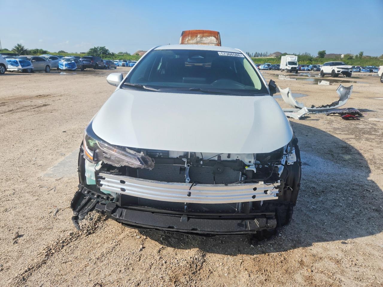 2025 TOYOTA COROLLA