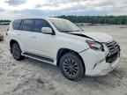 2019 LEXUS GX 460