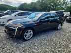 2023 CADILLAC CT4