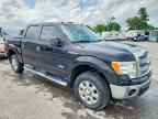 2013 FORD F-150 Lightning