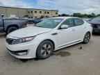 2013 KIA Optima Hybrid