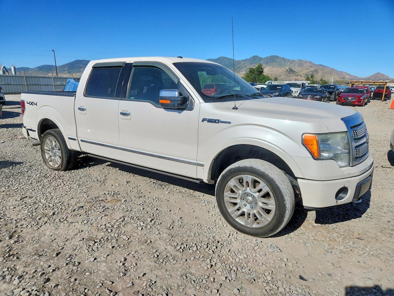 2010 FORD F-150 Lightning