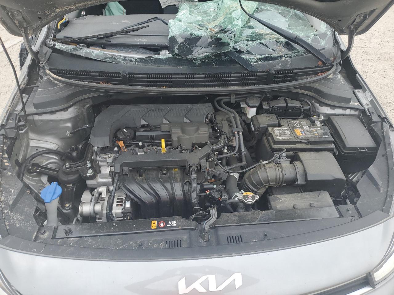 2023 KIA RIO