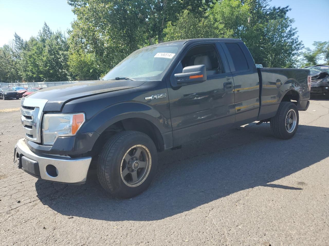 2010 FORD F-150