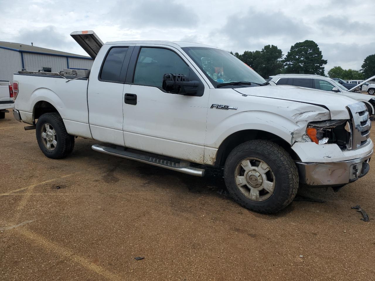 2010 FORD F-150