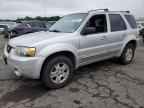 2006 FORD ESCAPE