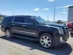 2019 CADILLAC Escalade ESV