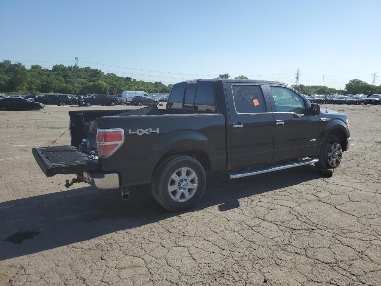 2013 FORD F-150