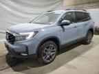 2023 HONDA Passport