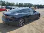 2021 NISSAN Maxima