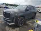 2024 CADILLAC ESCALADE