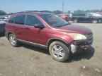 2010 HONDA CR-V