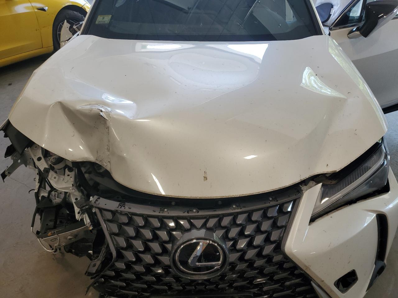2025 LEXUS Ux