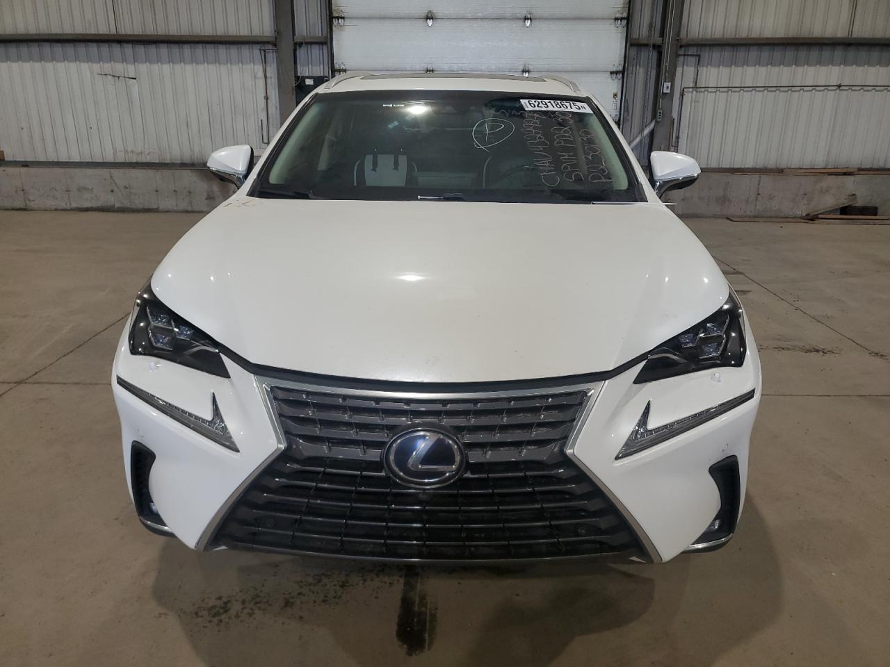 2019 LEXUS Nx