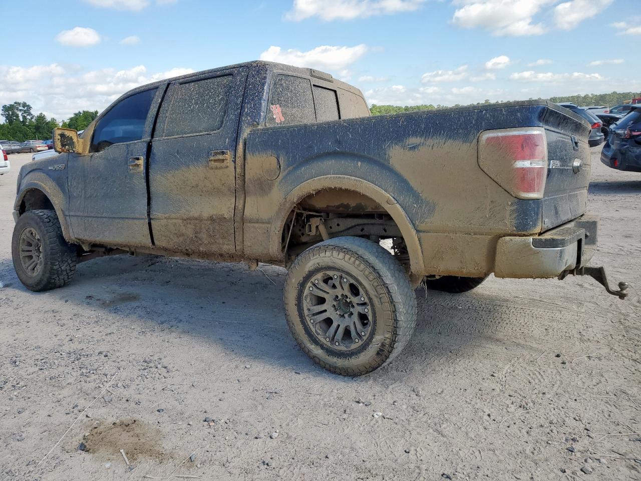 2010 FORD F-150