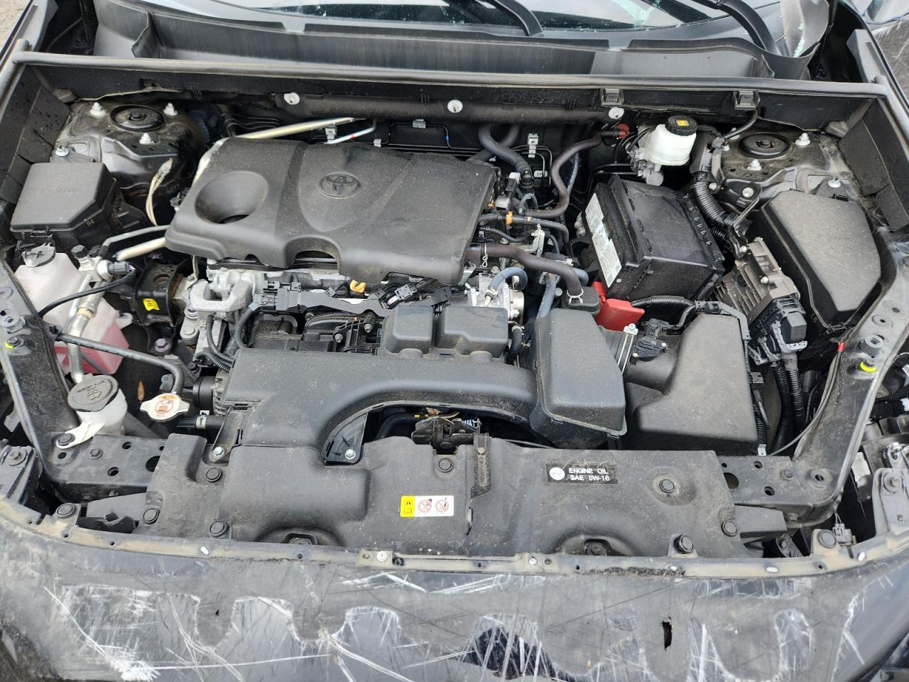 2023 TOYOTA RAV4