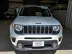 2020 JEEP Renegade