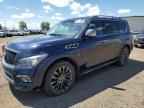 2017 INFINITI QX80