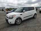 2011 KIA SOUL