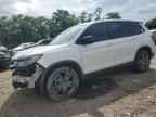 2019 HONDA Passport