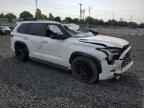 2024 TOYOTA Sequoia