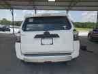 2023 TOYOTA 4Runner