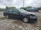 2002 TOYOTA Avalon