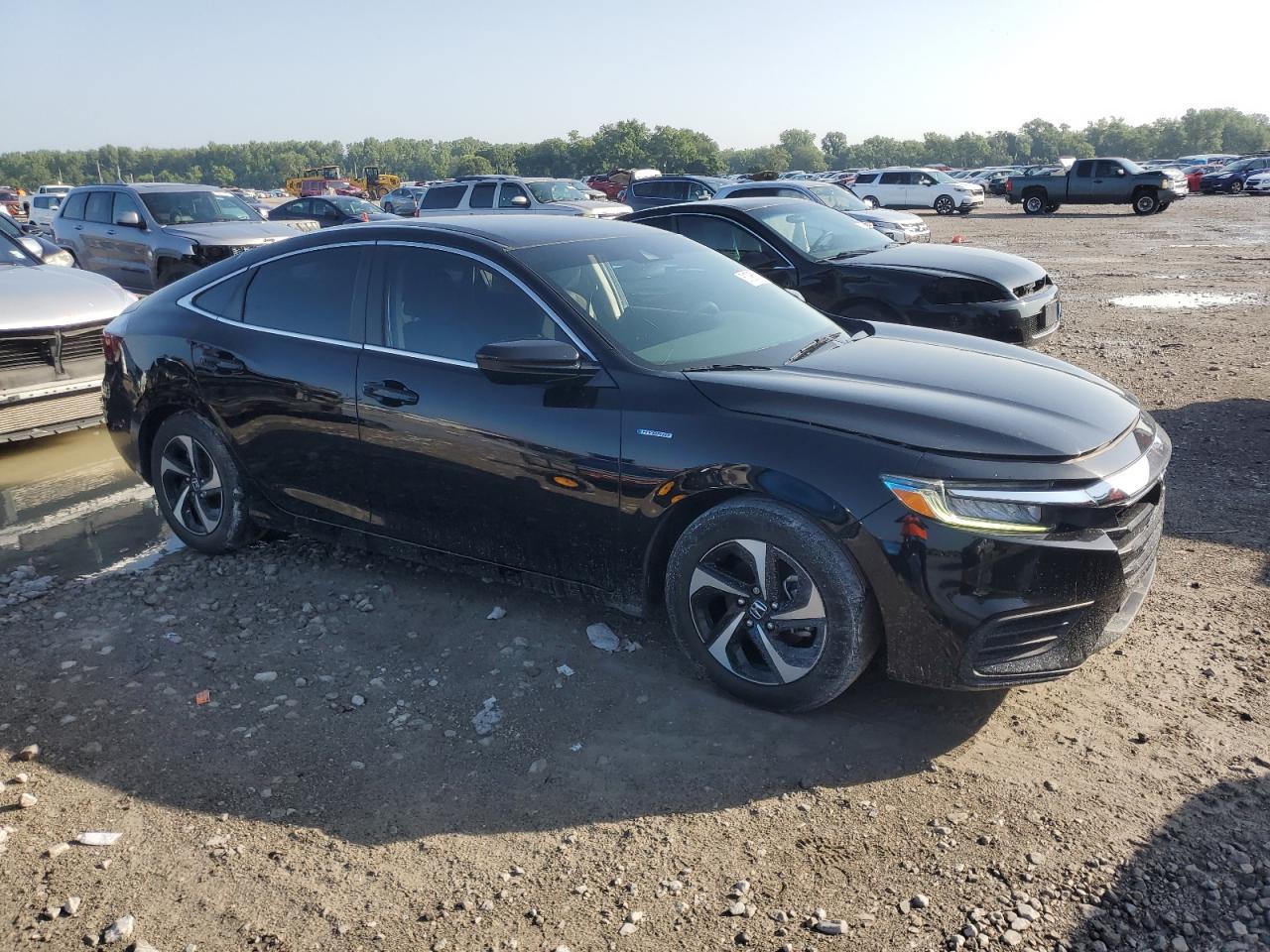 2021 HONDA Insight