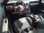 2023 FORD MUSTANG