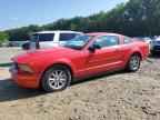 2008 FORD MUSTANG