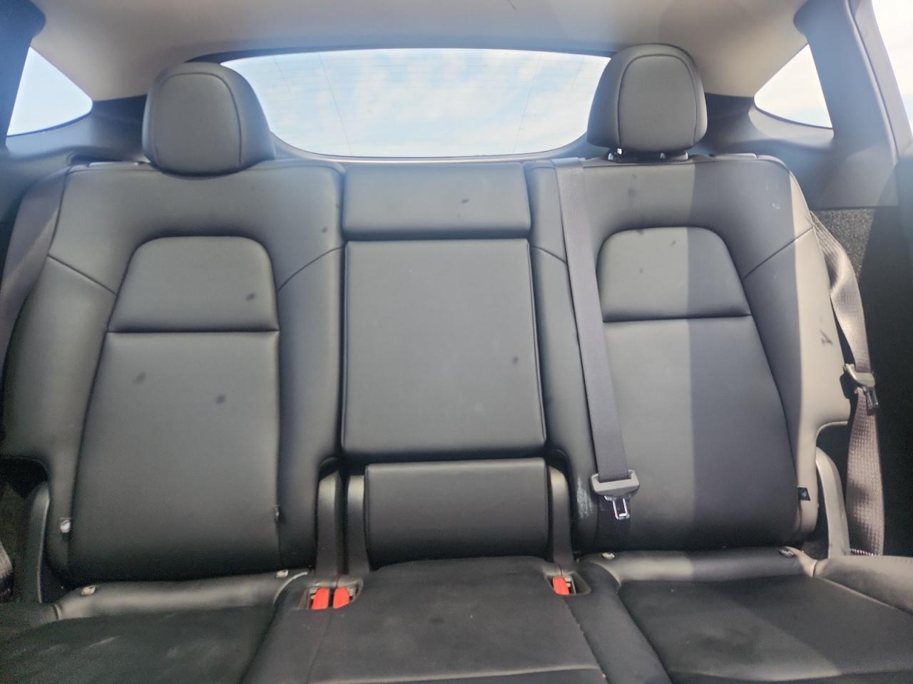 2025 TESLA MODEL Y