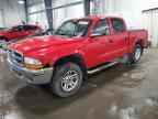 2003 DODGE Dakota