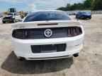 2013 FORD MUSTANG