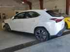 2025 LEXUS Ux
