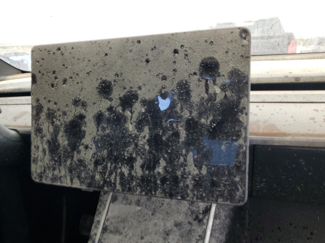 2020 TESLA MODEL Y