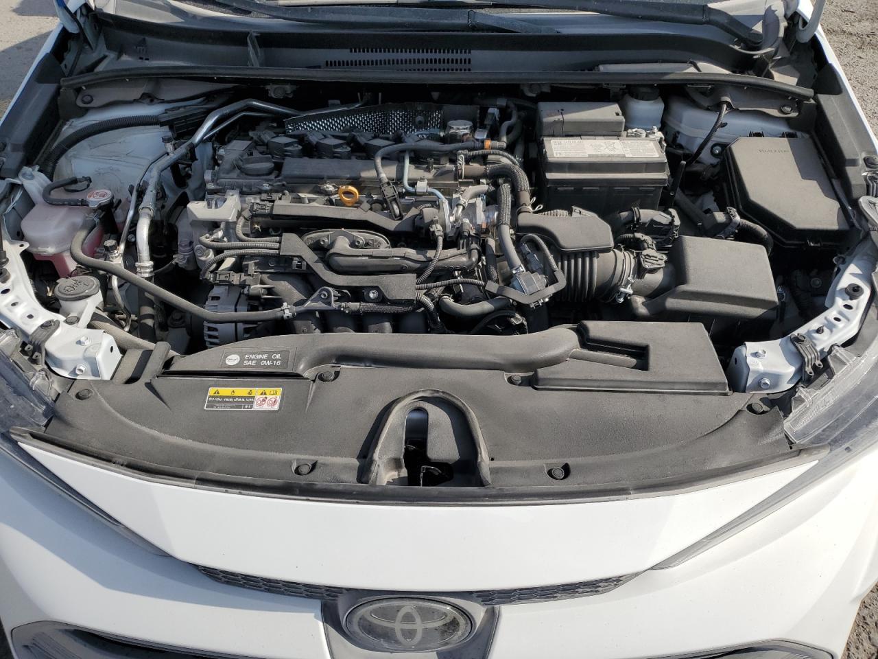 2023 TOYOTA COROLLA