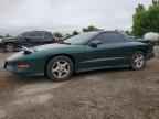 1995 PONTIAC Firebird