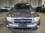 2009 FORD ESCAPE
